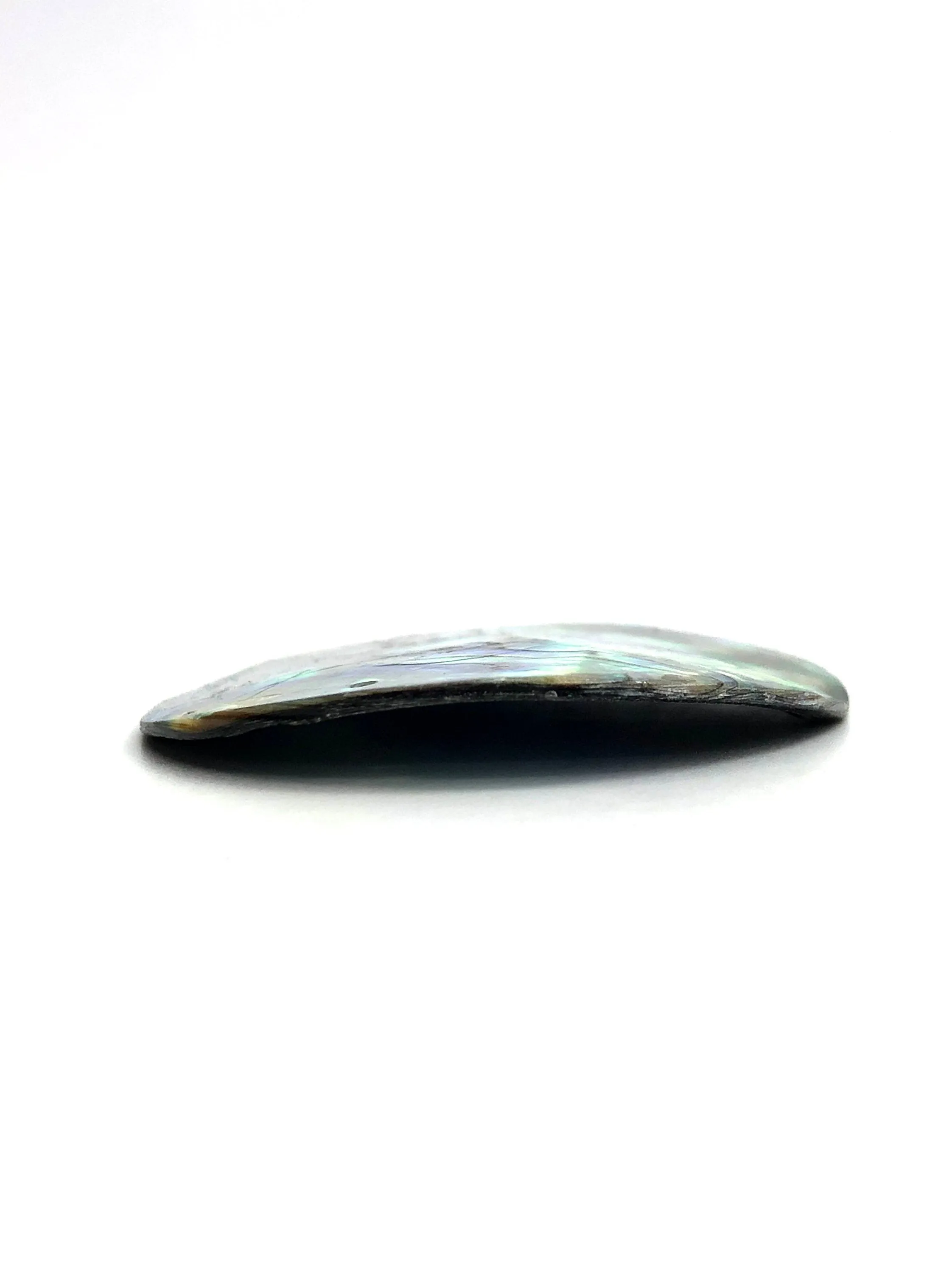 Abalone Mother Of Pearl Beads Sku#M760
