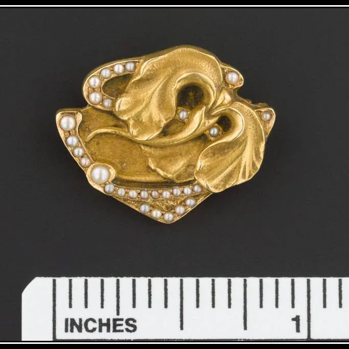 Art Nouveau Iris Pin | 14k Gold Iris Flower Pin