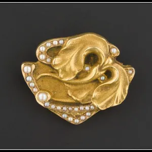 Art Nouveau Iris Pin | 14k Gold Iris Flower Pin