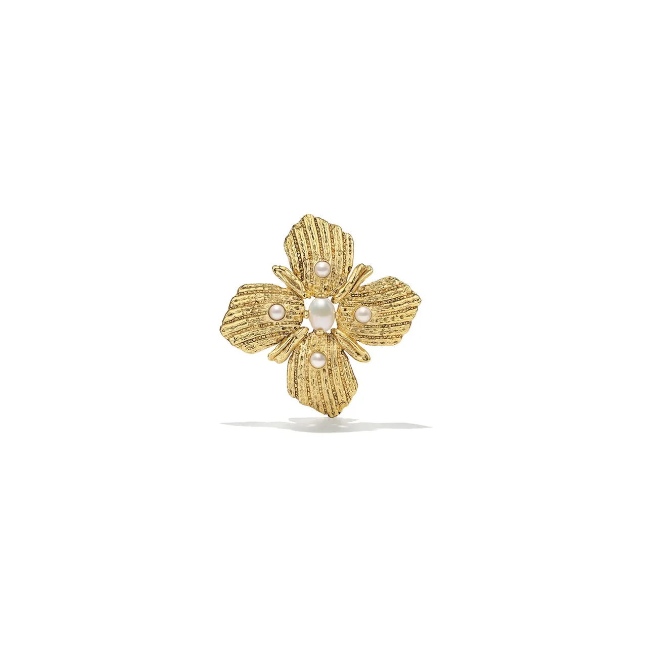 Circe Shell Brooch