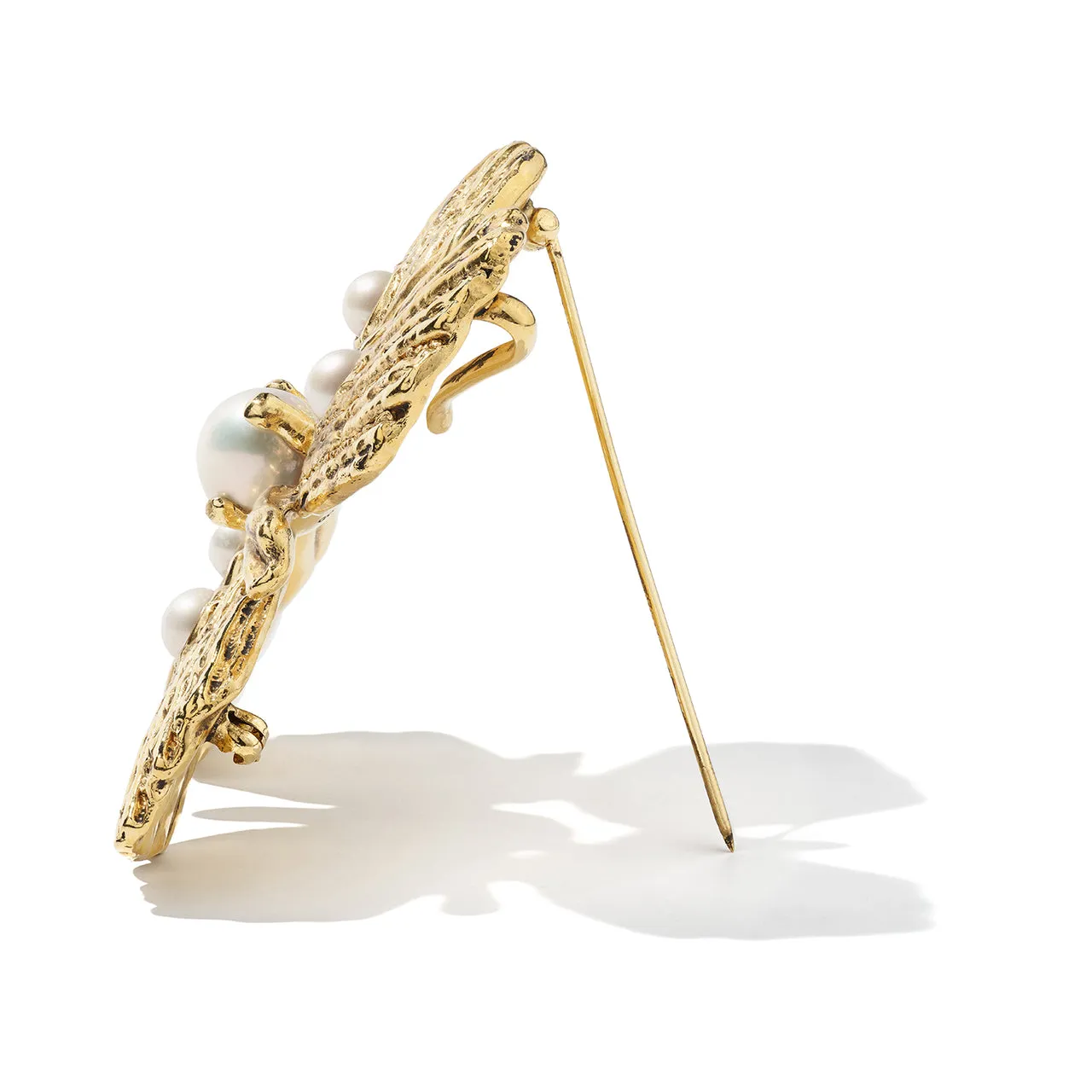 Circe Shell Brooch