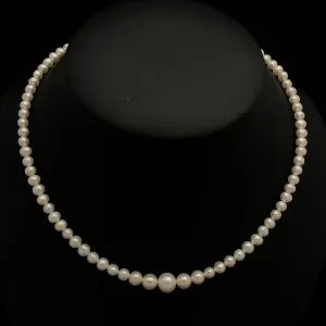 Freshwater Pearl Necklace