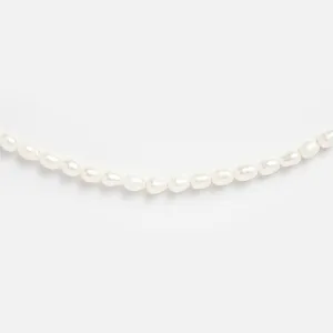 Freshwater Seed Pearls Necklace