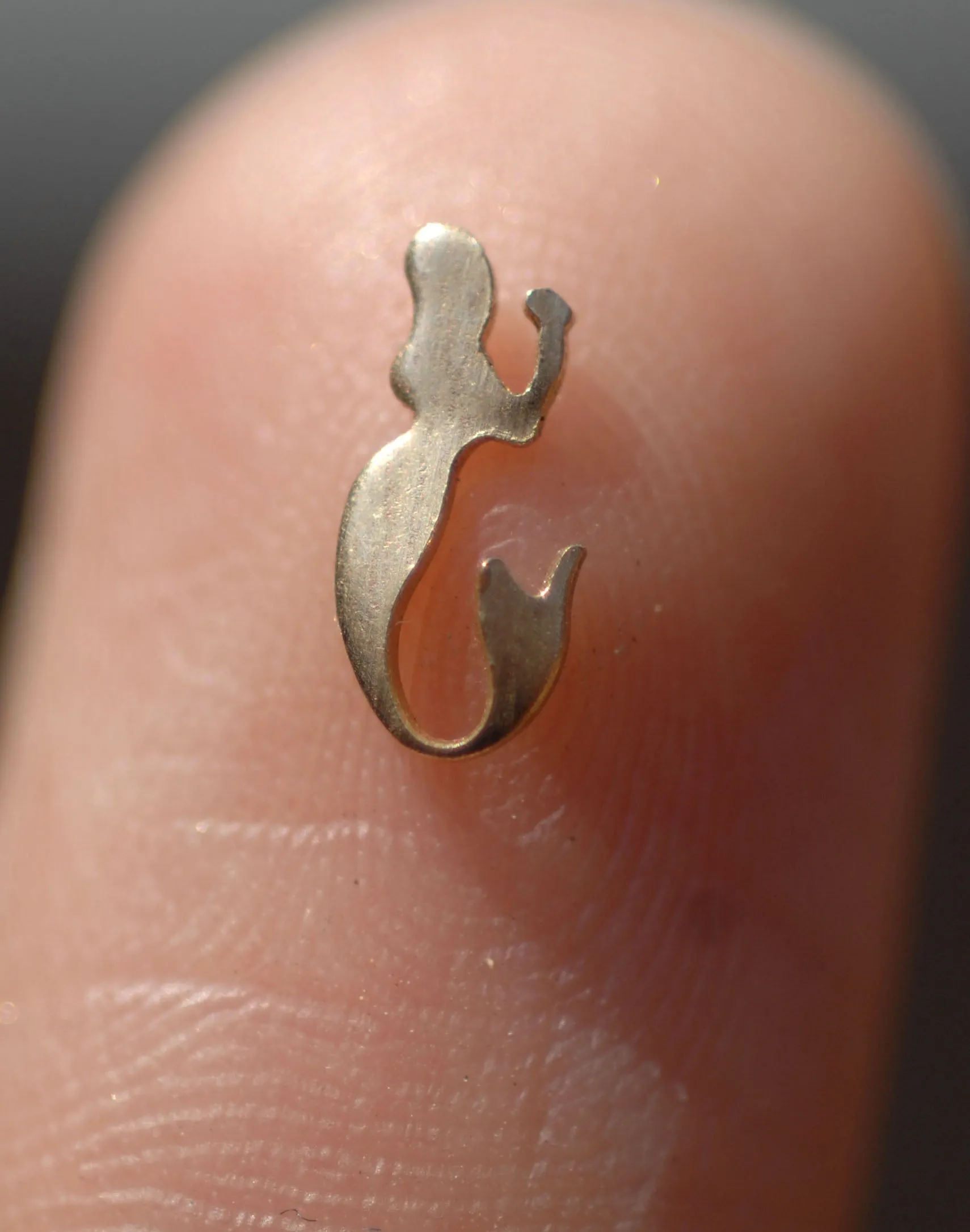 Most Tiny Metal Sexy Mermaid Mini Blanks