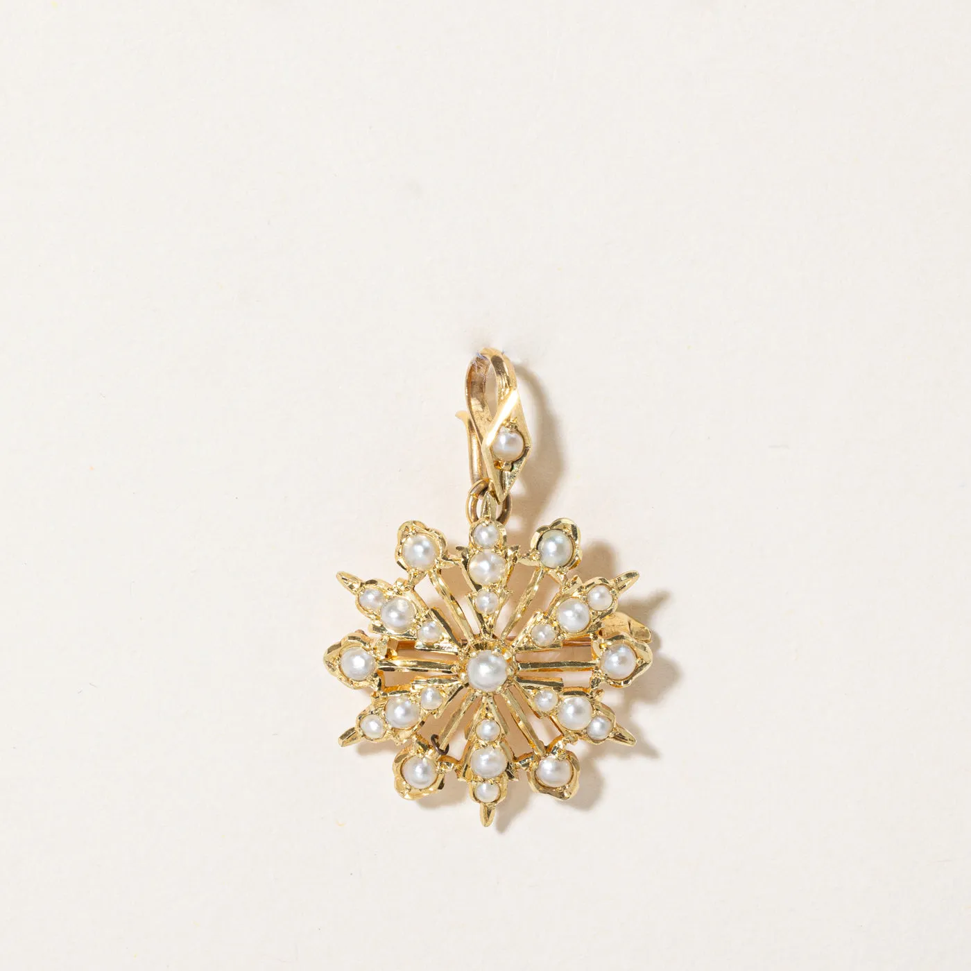 Pearl Pendant & Brooch