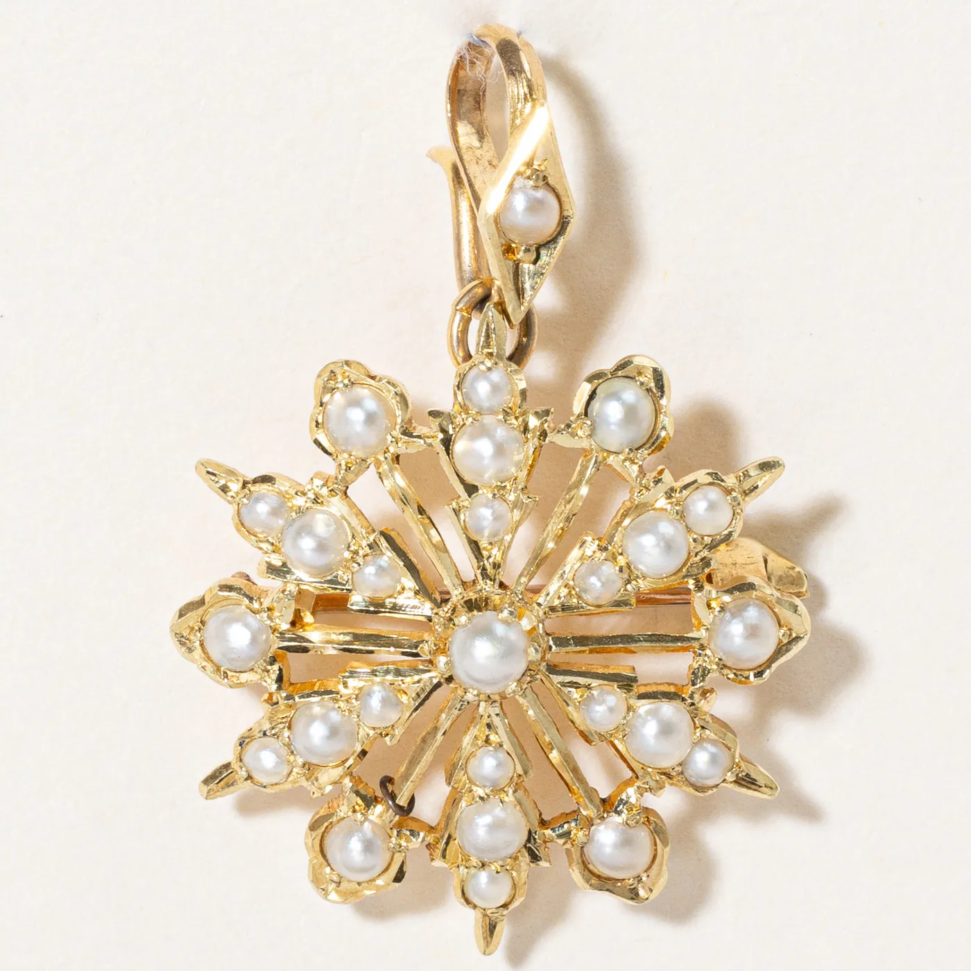 Pearl Pendant & Brooch