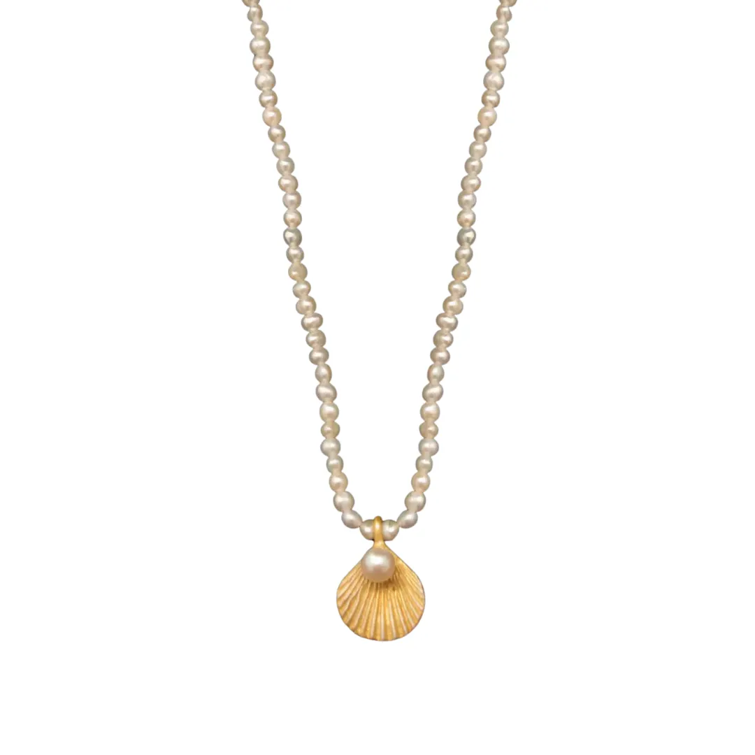 Sea Scallop Necklace