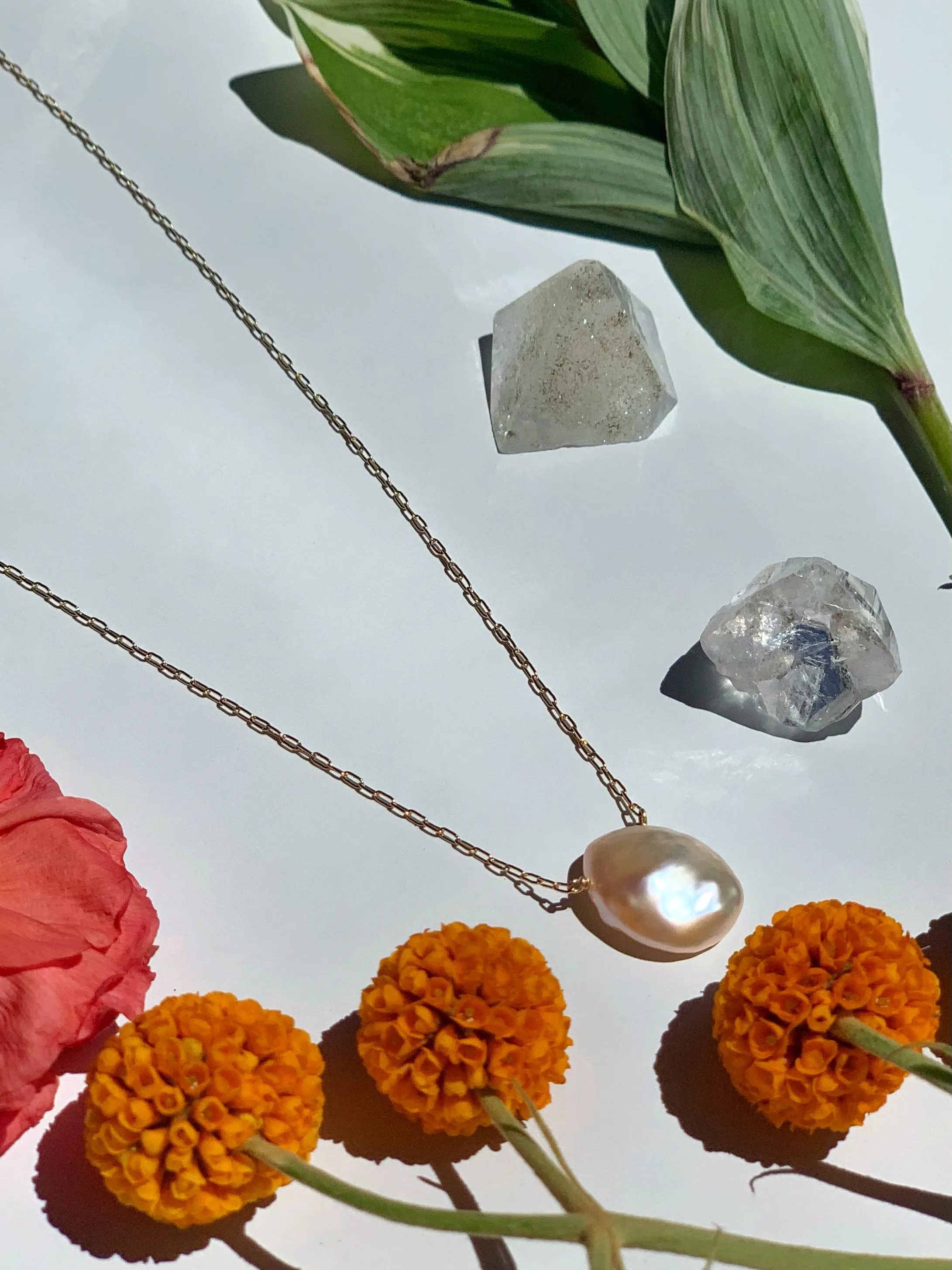 Single Freshwater Pearl Necklace