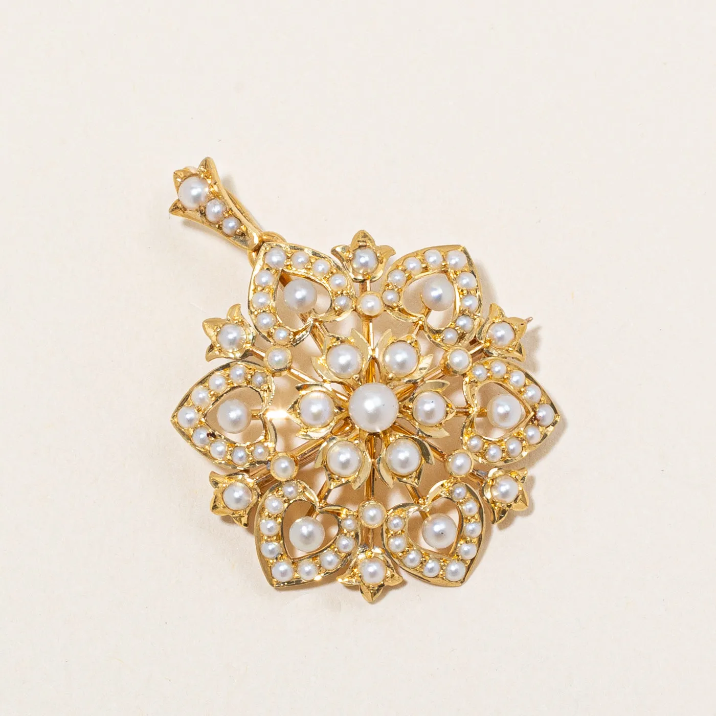 Vintage Modified Pearl Brooch & Pendant