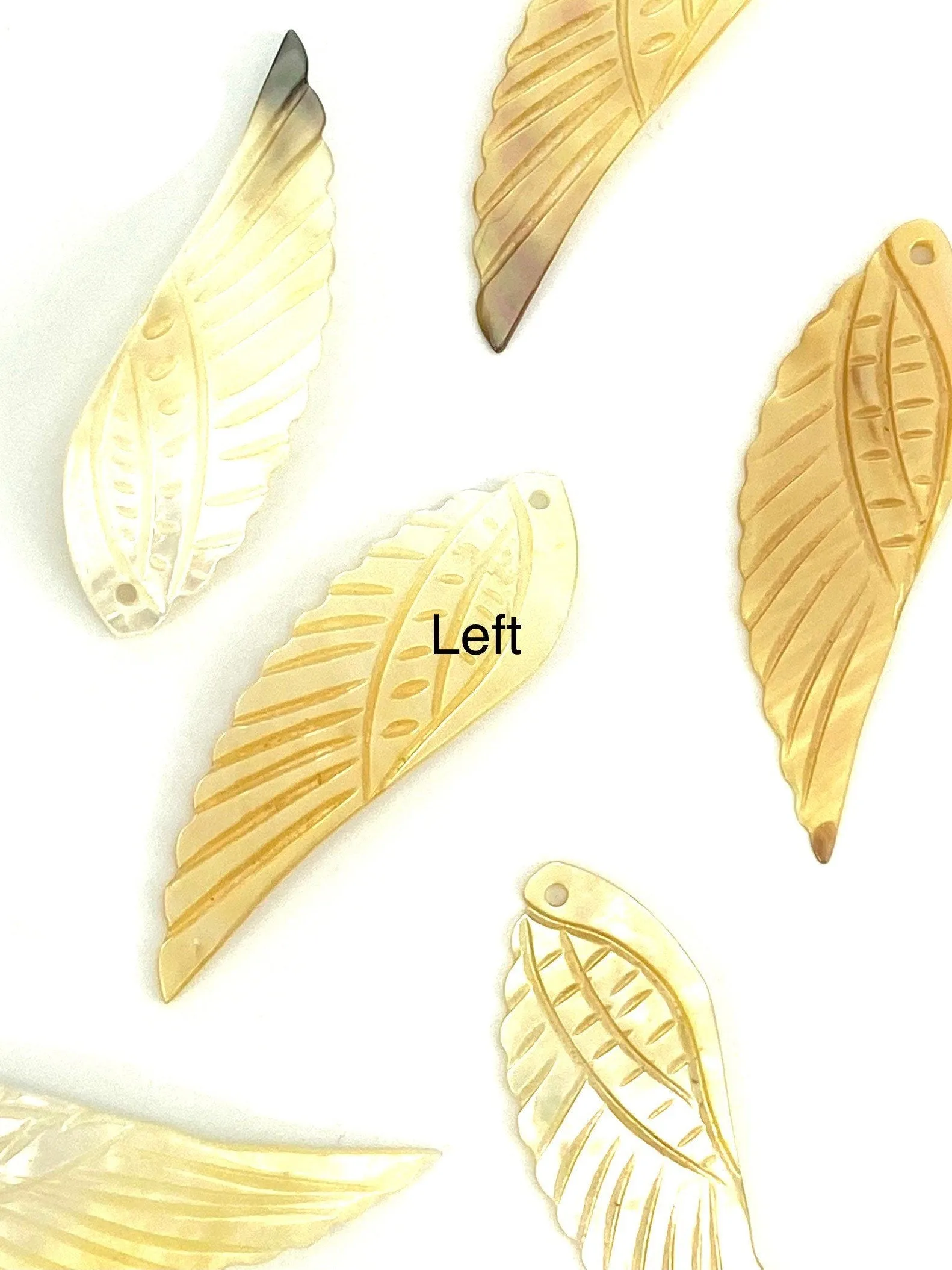 White South Sea Mother Of Pearl Angel Wings, Sku#M54