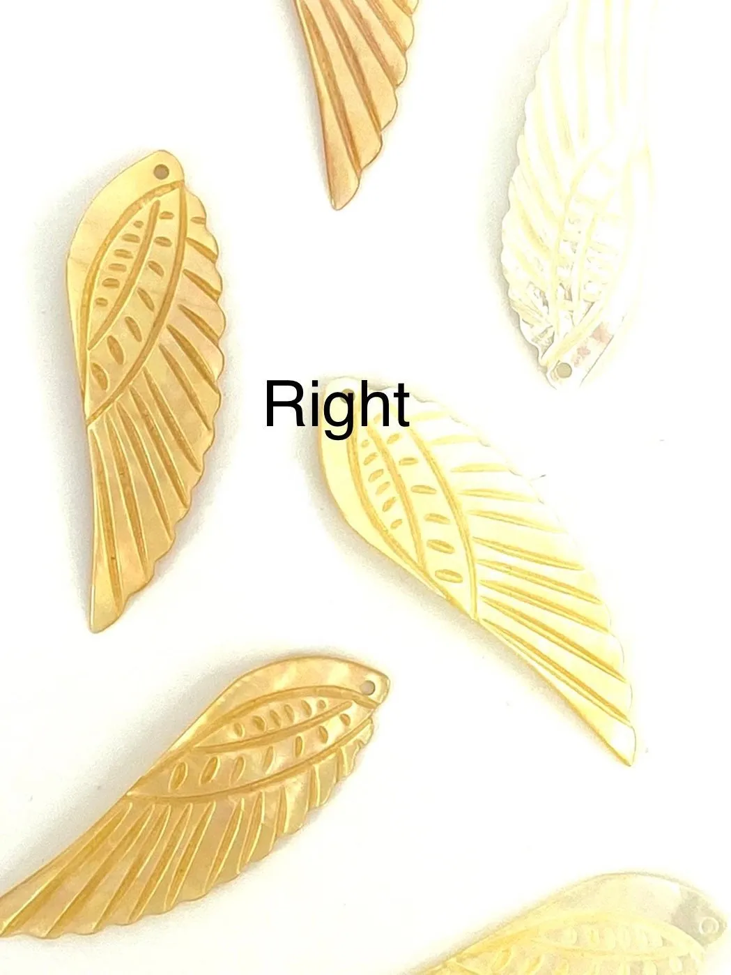 White South Sea Mother Of Pearl Angel Wings, Sku#M54