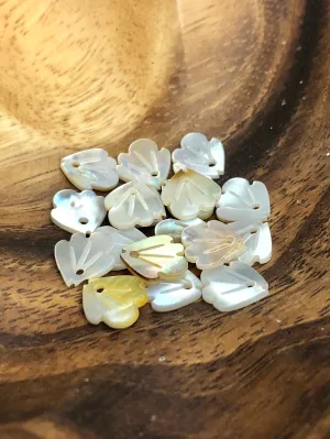 White South Sea Mother Of Pearl Beads Sku#M382