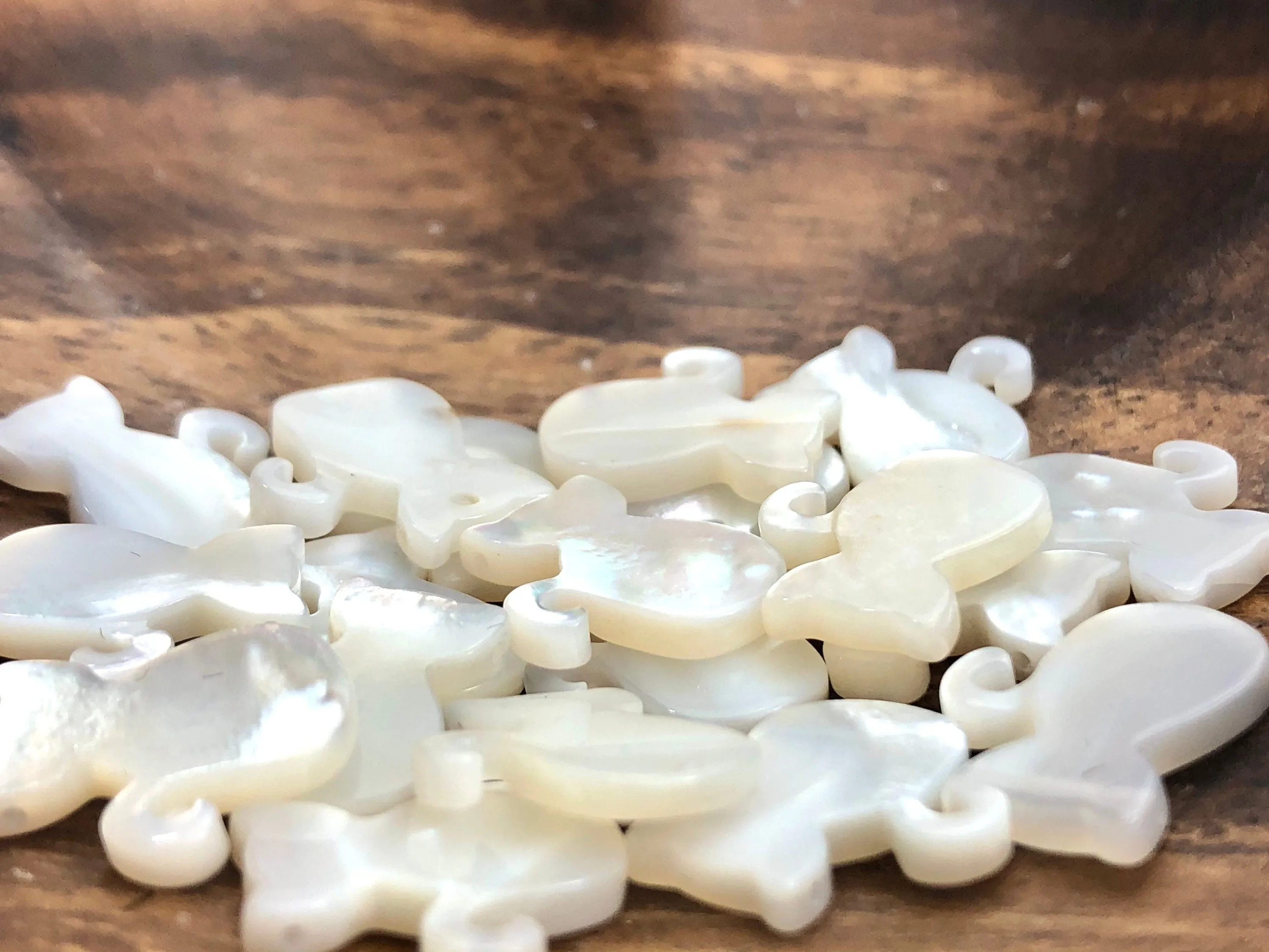 White South Sea Mother Of Pearl Cat Sku#M143