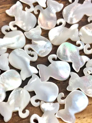 White South Sea Mother Of Pearl Cat Sku#M143