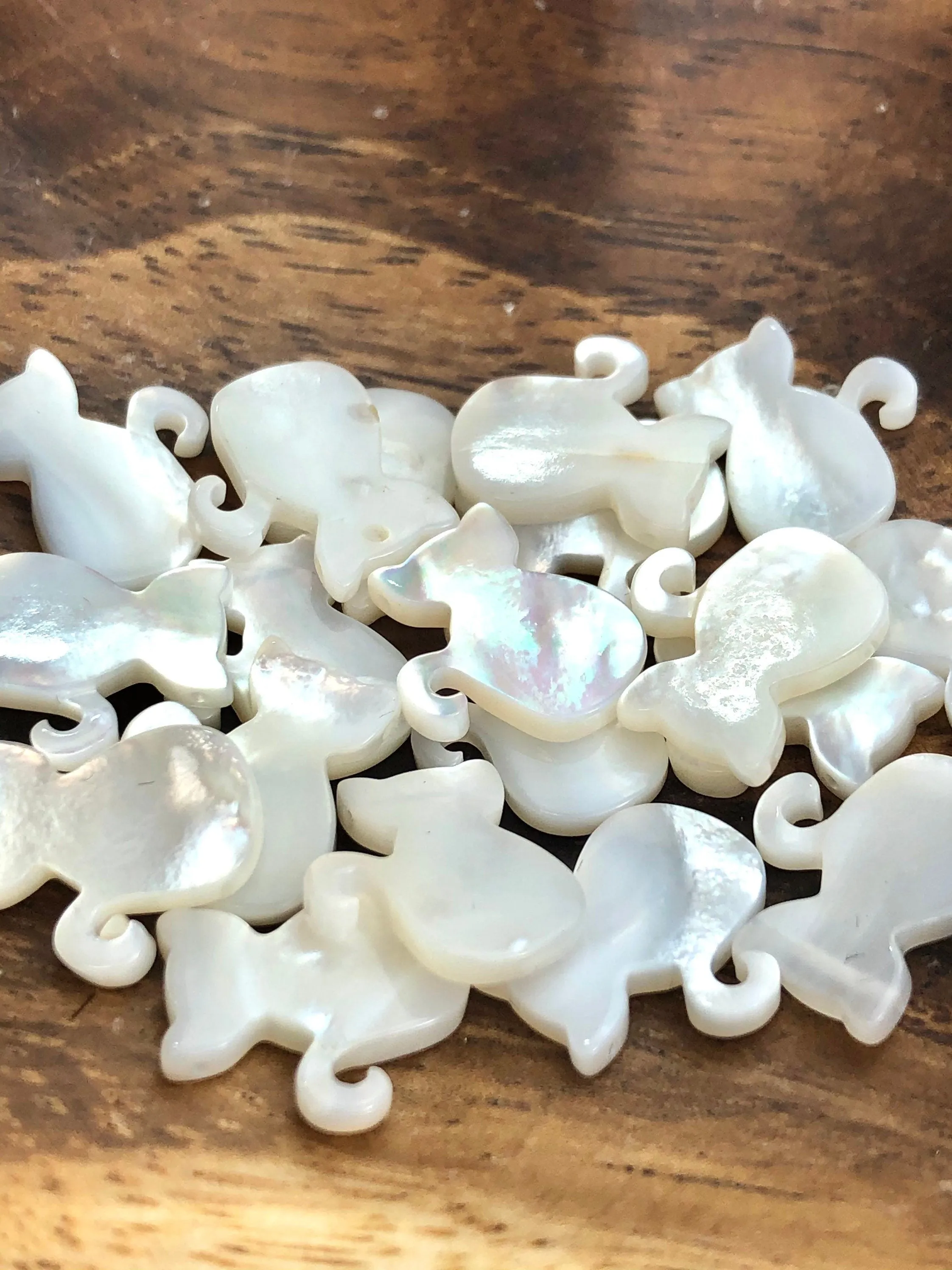 White South Sea Mother Of Pearl Cat Sku#M143