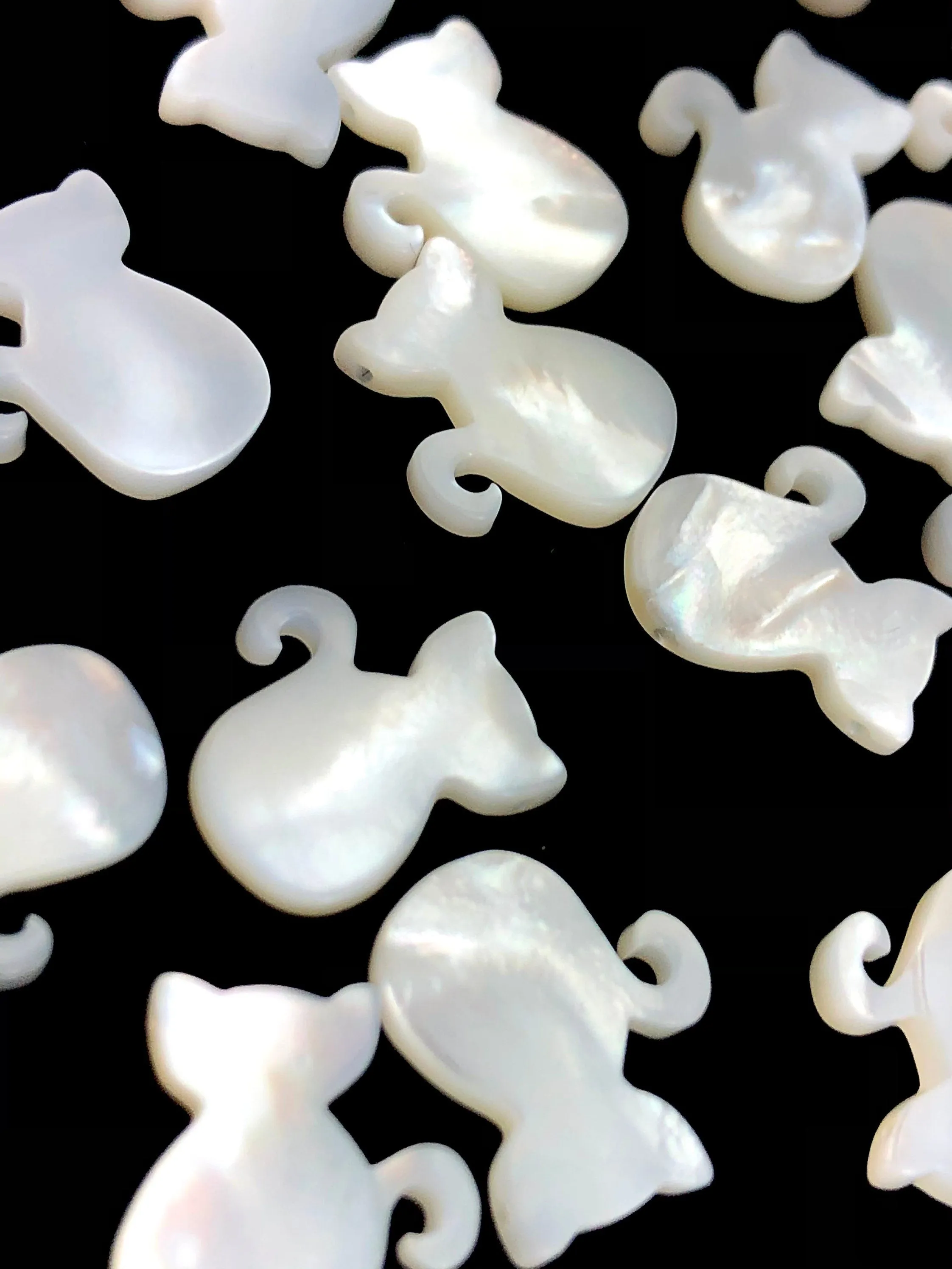 White South Sea Mother Of Pearl Cat Sku#M143