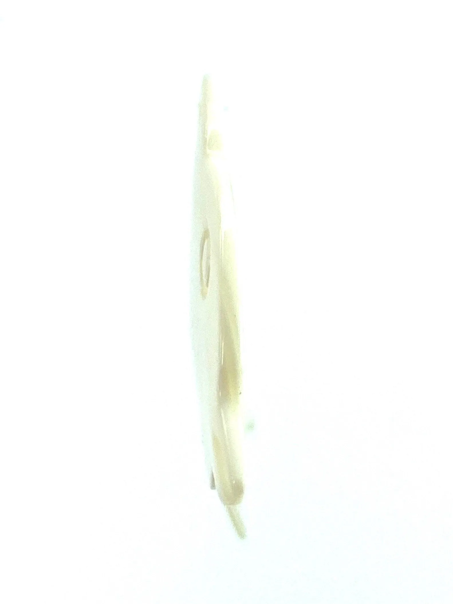 White South Sea Mother Of Pearl Dolphin Beads, Sku#M226