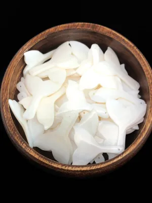 White South Sea Mother Of Pearl Whale Tail Sku#M501